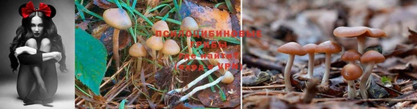 метадон Балабаново