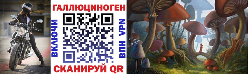 Псилоцибиновые грибы Cubensis Семёнов