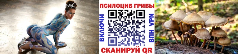 ссылка на мегу ссылки  что такое наркотик  Семёнов  Псилоцибиновые грибы Cubensis 